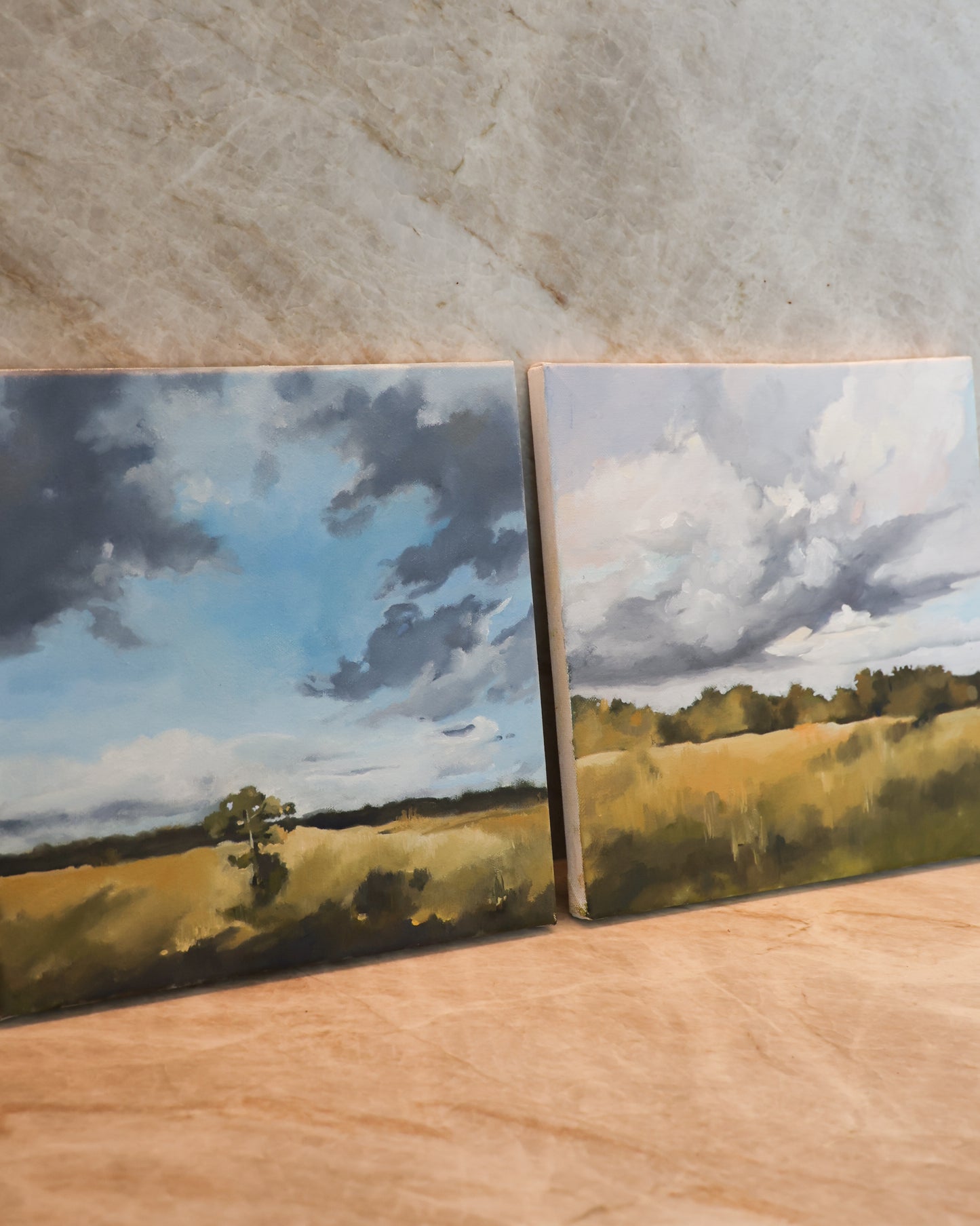 Landscape Paintings