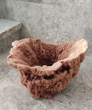 Large Sponge
