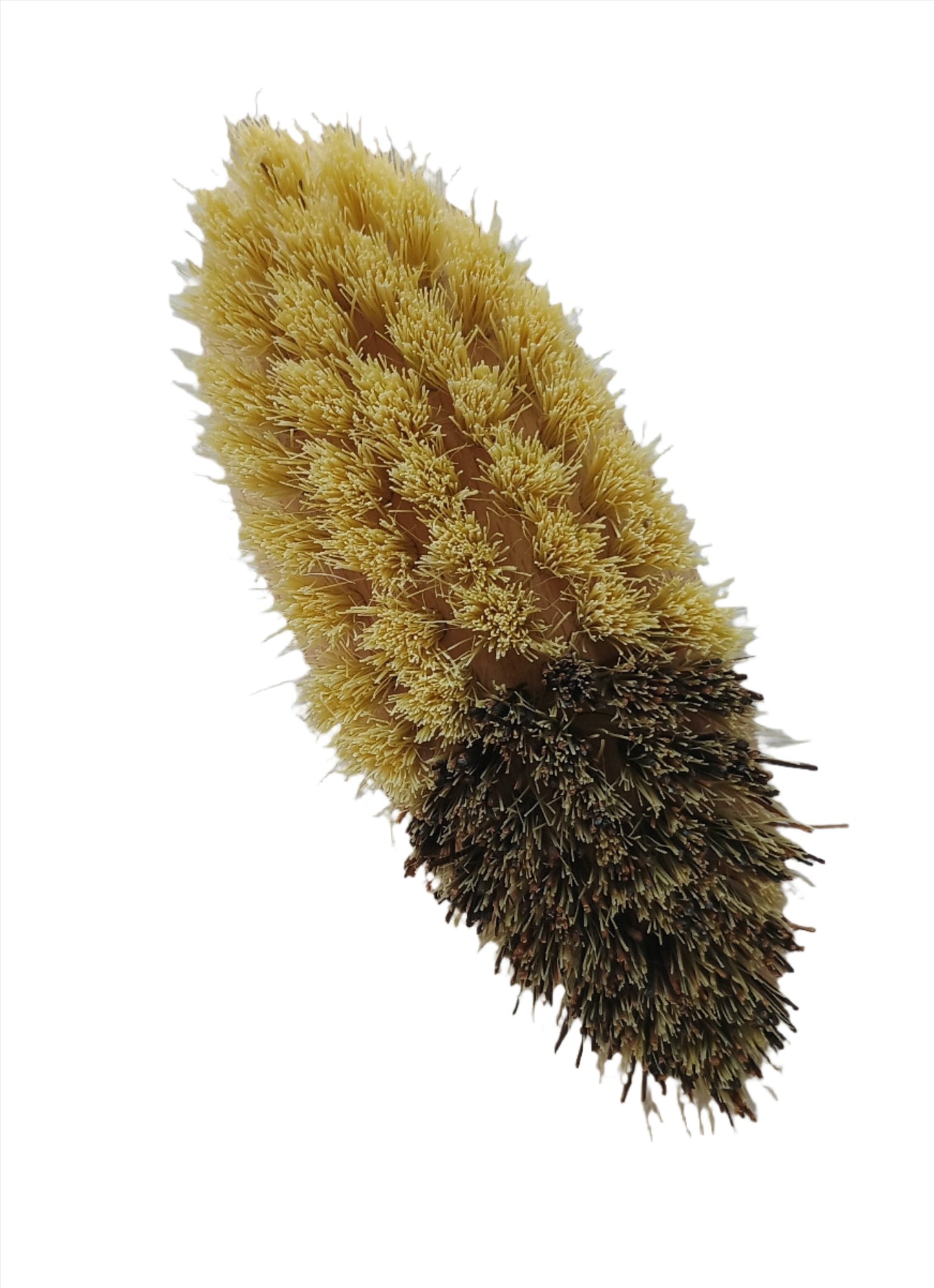 Brush - Vegetable Brush