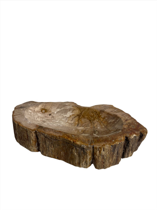 Bowl - Petrified Wood Dish