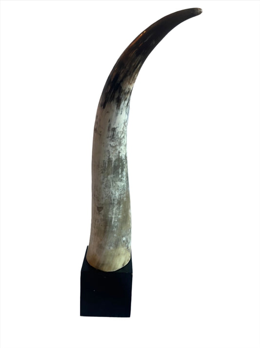 Decor- Tall Decorative Long Horn