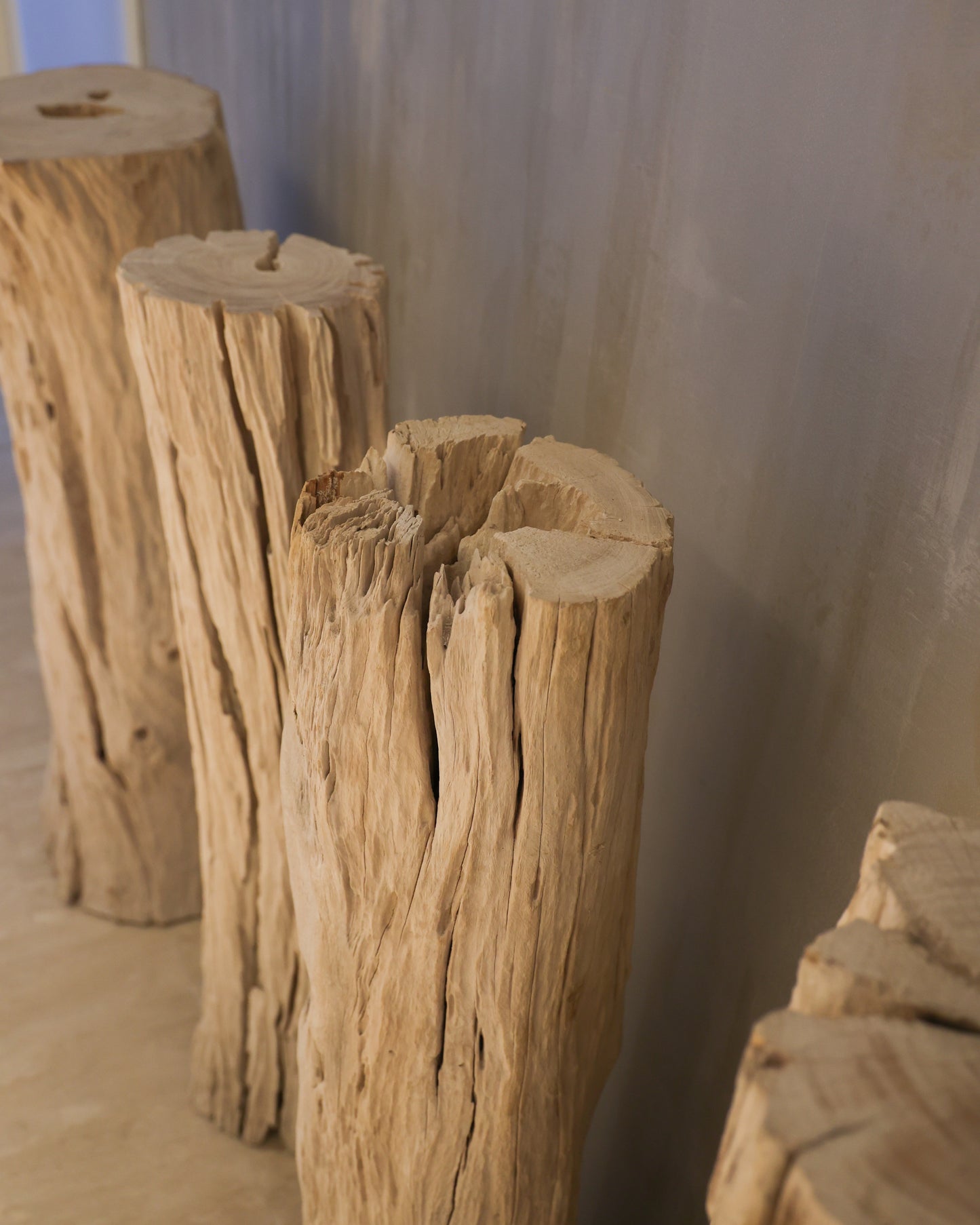 Wooden Log Sculptures