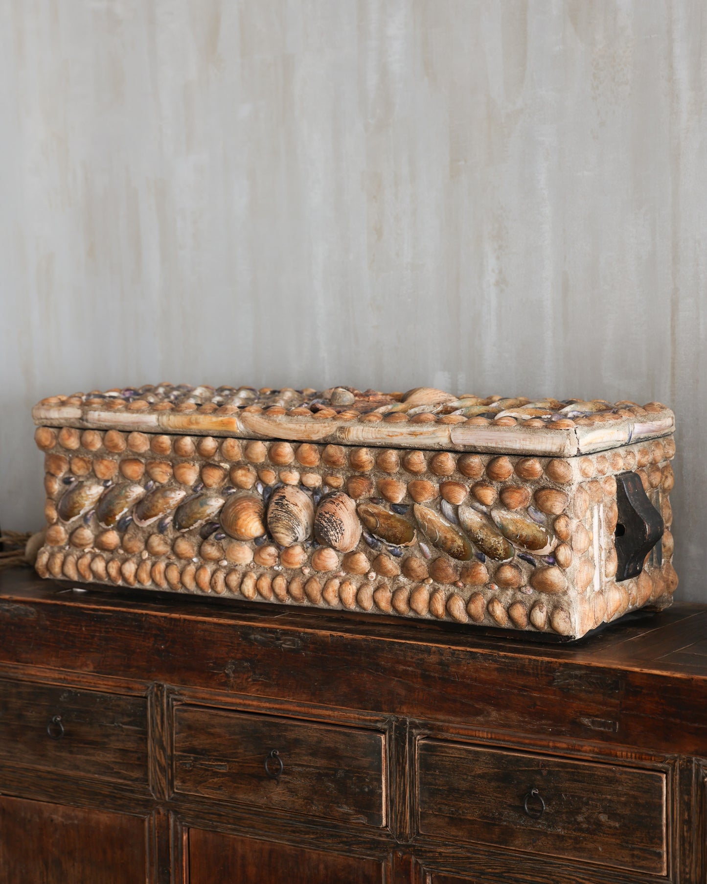 Seashell Box