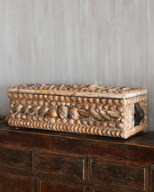 Seashell Box