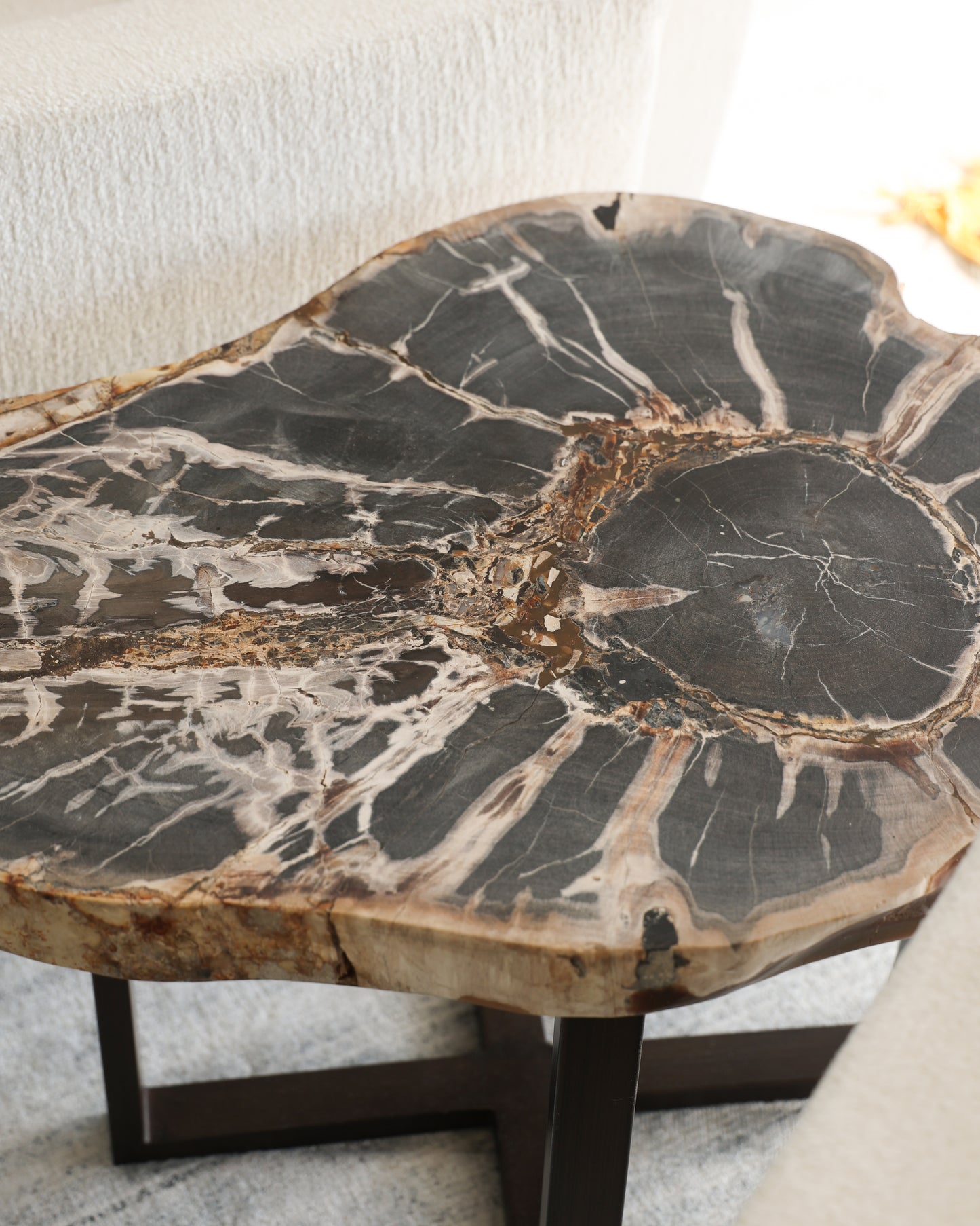 Petrified Wood Slab Side Table