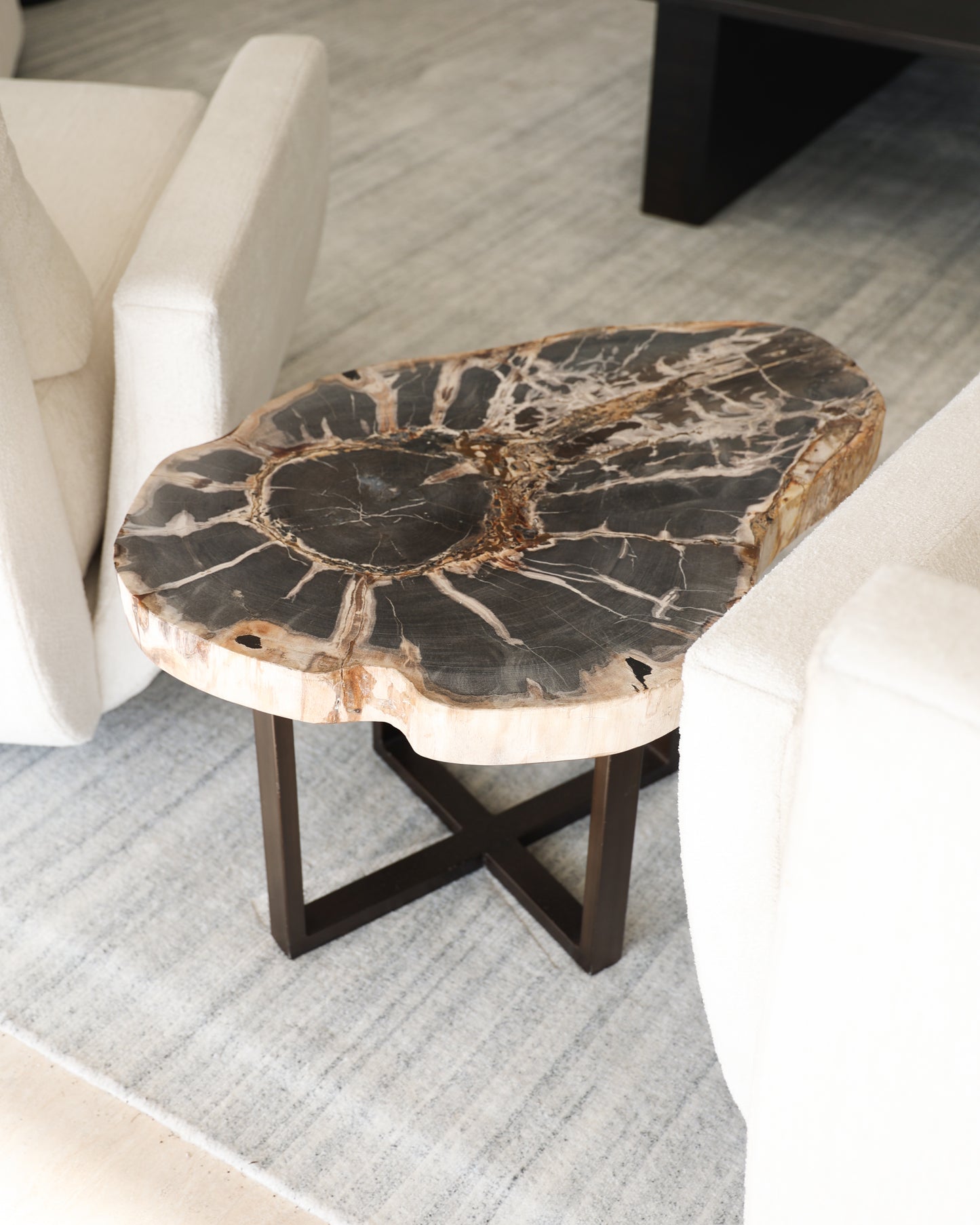Petrified Wood Slab Side Table