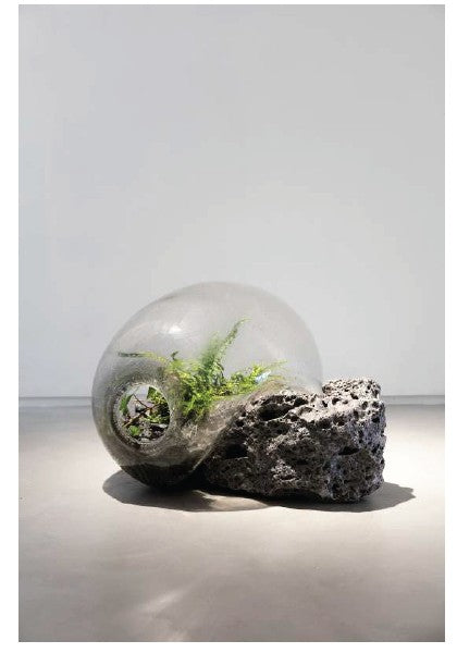 Art piece - With Native British Ferns and Ivy