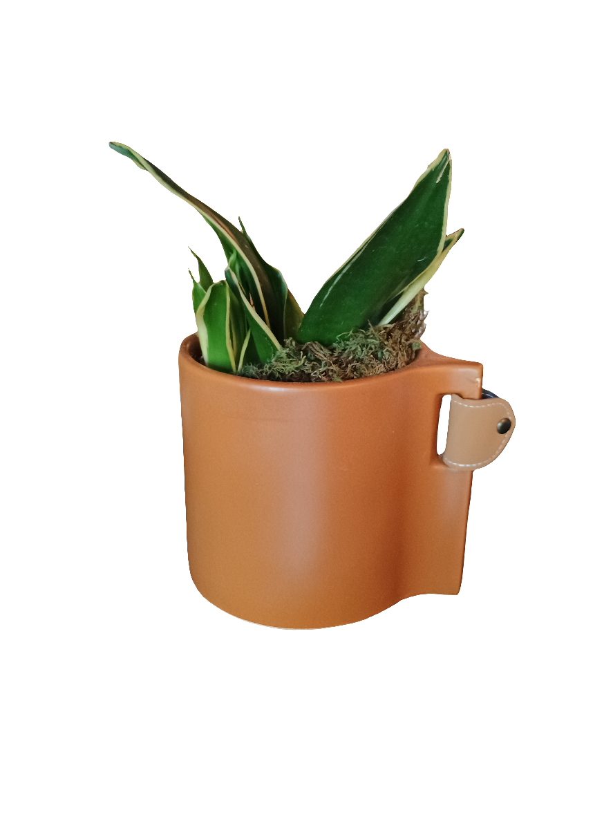 Planter - Terracotta Planter