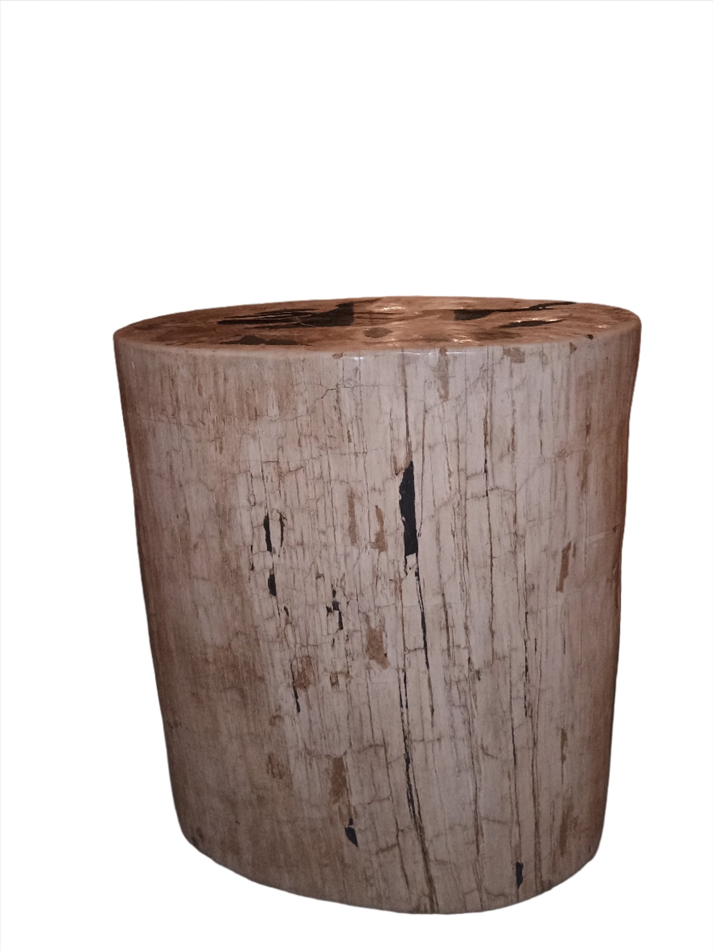 Stool - Petrified Wood Stool
