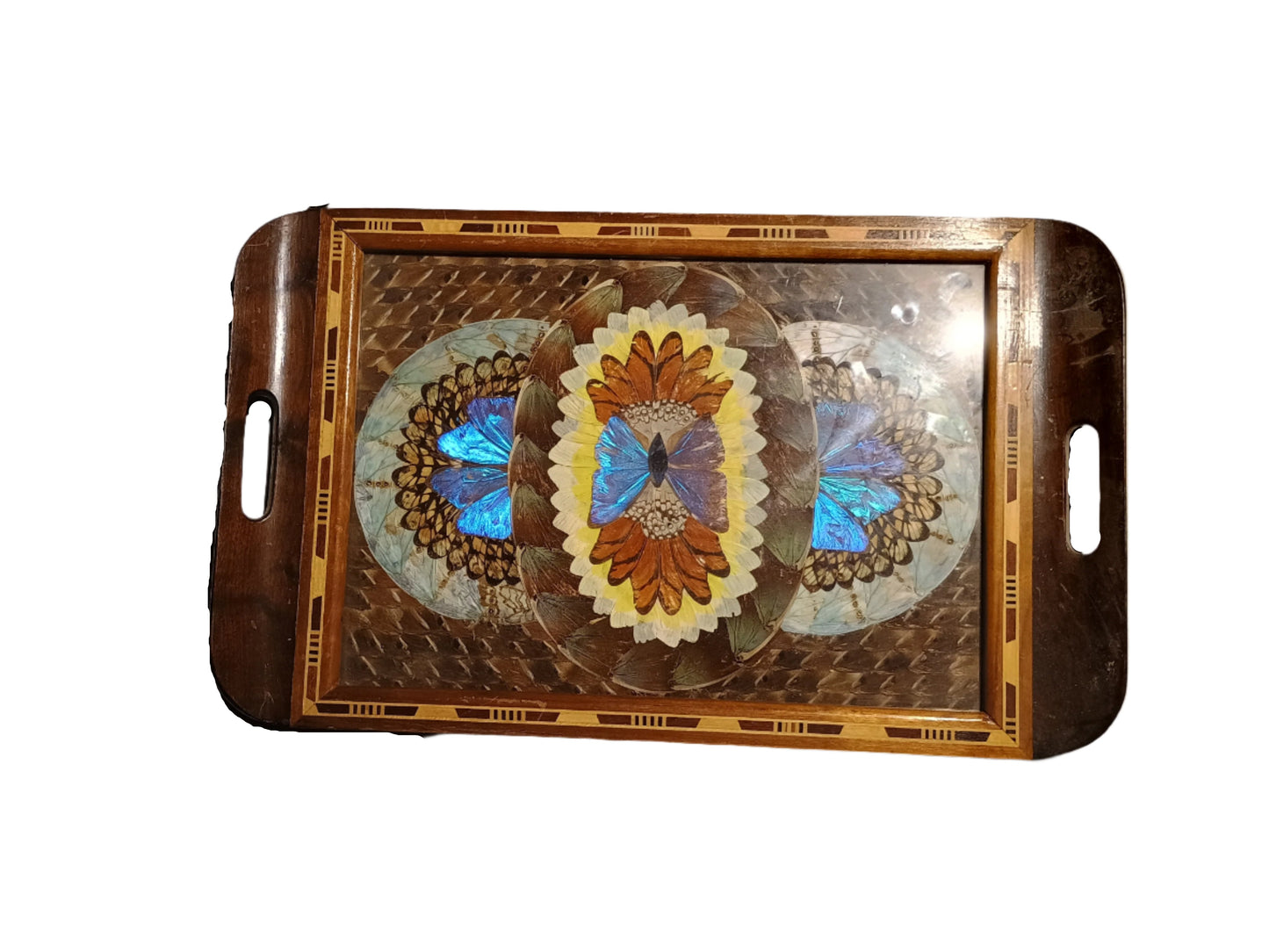 Tray - Vintage Inlaid Butterfly Wing Tray