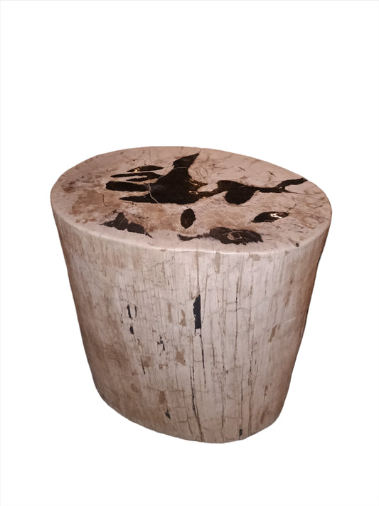 Stool - Petrified Wood Stool